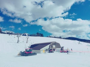 IMG_5651